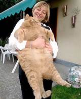 Look at this girl and her big pussy cat.