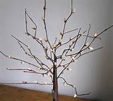 Easter Pussy Willow Display Twig tree By Gisela Graham