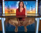 Robin Meade Fakes - Free Porn Jpg