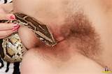 Snake in the pussy