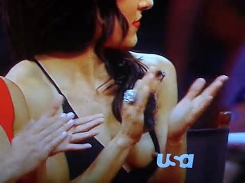 WWE Diva Brie Bella Nip Slip of the Day - DrunkenStepfather ...