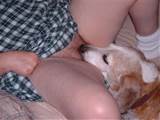 hard licker dog loves to lick her pussy and she loves it too