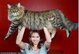 Woman has world's Biggest Pussy