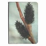 Black Pussy Willow Tree Bud Spring Bloom Kindle Touch Case