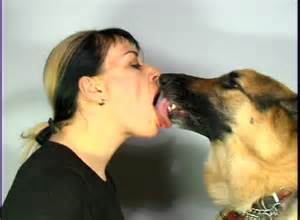 FFFFOUND! | angela-bartram-licking-dogs2.jpeg (JPEG Image, 784Ã—576 ...