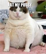 Fat Cat