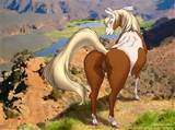 feral hooves horse looking_back mammal outside presenting pussy pussy ...