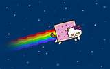 ... -Nyan-Hello-Kitty--Grumpy-Nyan-Cat--Stop-Feeding-Your-Cat-Skittles