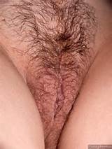 Trimmed European Pussy Nude Female Photo