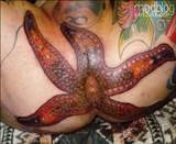 The Anal Starfish Tattoo | BME: Tattoo, Piercing and Body Modification ...