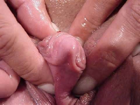 WEIRD PORN PICS Every Fetish Fixation And Fantasy Fuck Is Fulfilled