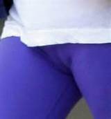 Janice Dickinson Cameltoe