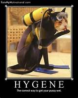HYGENE-The correct way to get your pussy wet. | RateMyMotivational.com ...