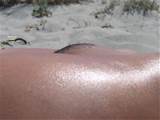 neatly trimmed pussy, closeup of a pussy, mound, seen on beach ...