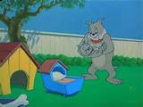 Tom and Jerry: Hic-cup Pup (1954) - Stagevu: Your View