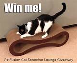 Giveaway: PetFusion Cat Scratcher Lounge