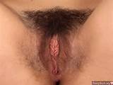 Hairy Pootang Close-Up Nude Female Photo