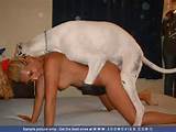 Animal Horse Sex Gives Girl Creampie Video - Bestiality Gallery ...