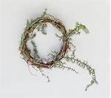 Pussy Willow Wreath Step 2, Gardenista