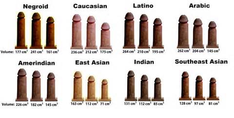 from different countries from left to right the longest penis high ...