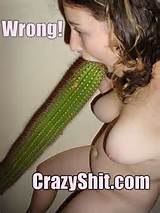 PICTURES > CACTUS BLOWJOB