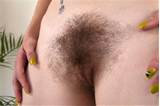 of ATK, free pics by free-hairy-galleries.com
