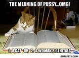 Cat Looking Up the Meaning of the Word PUSSY