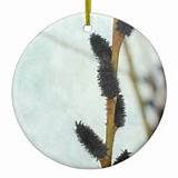 Black Pussy Willow Tree Branch Summer Branches Double-Sided Ceramic ...