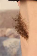 enter more hairy porn want to find real hairy pussy