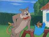 Tom & Jerry: Diminutos Amigos [Tom And Jerry: Pint Sized Pals] [2DISC ...