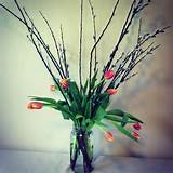 Pussy willow and tulip arrangement in vintage mason jar ...