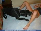 ... horses cock stories bastiality animals compilation teen fuck horse