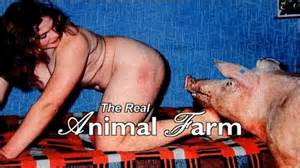 The Dark Side Of Porn The Search For Animal Farm1 Bmp