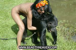 ... of Dogs Horses Goats And Snakes Even Wild Gorillas Tigers And Camels