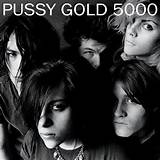 Opinions on Pussy Galore (band)