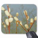 Pussy Willow Fantasy Plant Mousepad | Zazzle