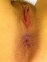 secretnipples:my pussy and asshole