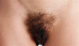 Hairy Pussy /Italian-Calendar-Hairy-Pussy-6