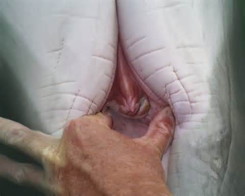 Response to (nsfw) Quality Halo Porn (elite) 2012-08-02 22:17:36 Reply