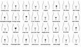 Massive chart of pubic styles