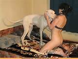 ... my dog for the first time porn sexy nude girls fuck with animals dog