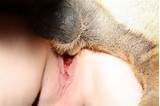 creampie