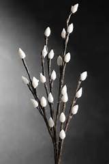 LED Pussy Willow 20 in. Branches 24 Clear Lights Battery Operated