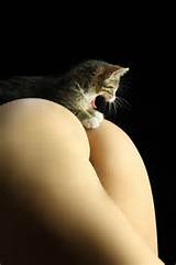 Pussy Cat