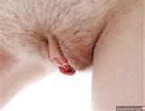 Short Hairy Pussy Close up Nude Female Photo