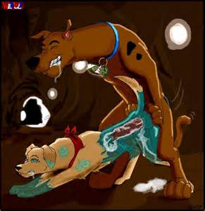 Scooby Doo Porn 28 721 X 742