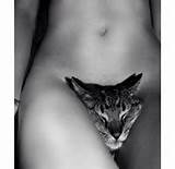 Pussycat | I Love To Laugh! | Pinterest