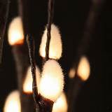 Pussy Willow Flower Lights