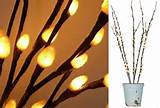 LED Lighted Branches - Pussy Willow Bundle Large