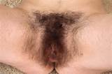 Hairy Cave Pussy